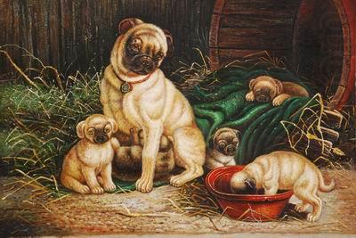 unknow artist Dogs 028 china oil painting image